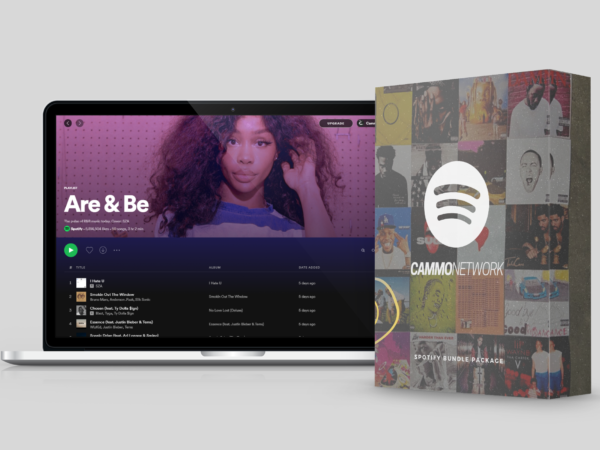 Successful Marketing on Spotify: A Deep Dive into Cammo Network’sSpotify Promotion