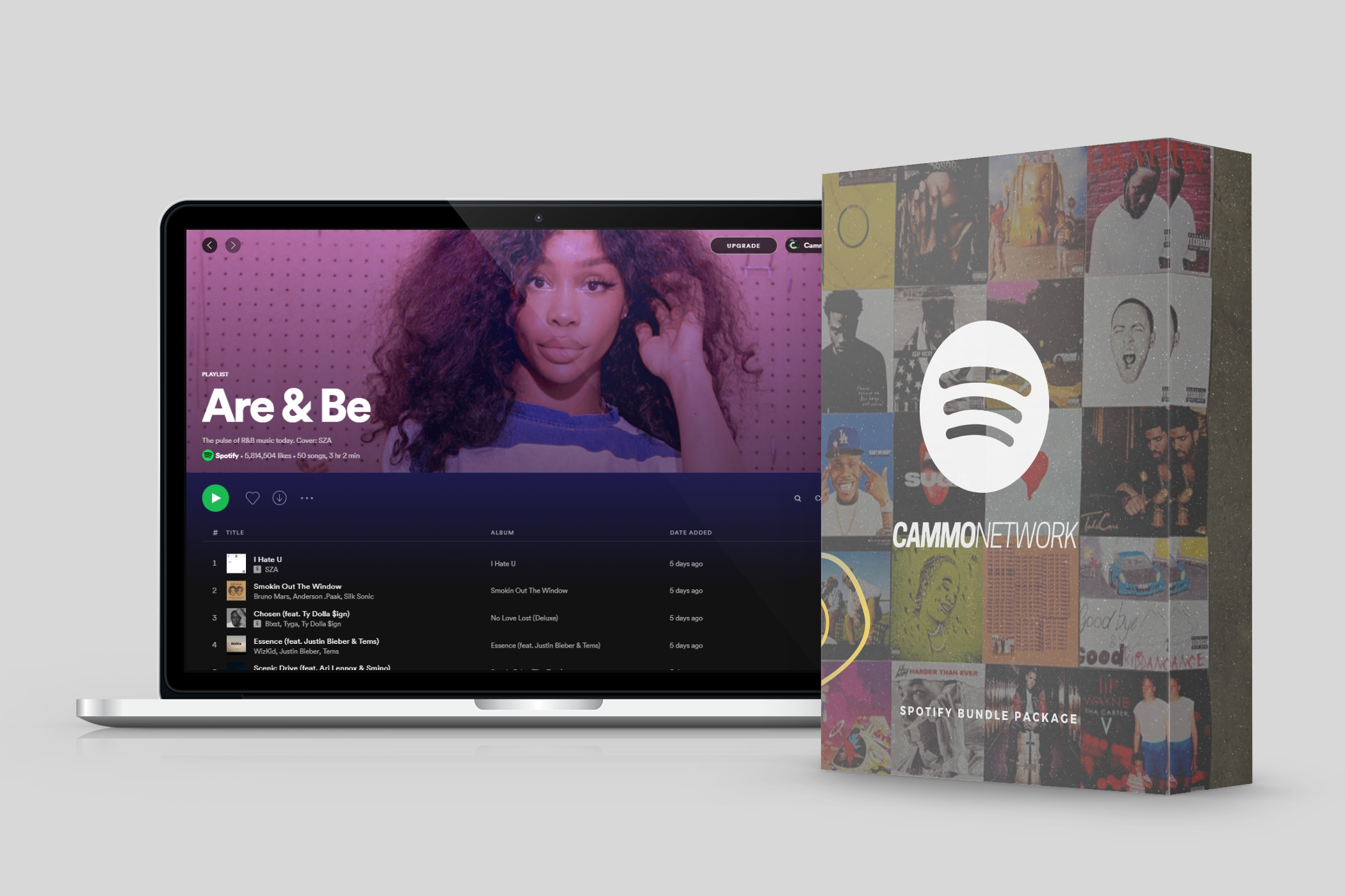 Successful Marketing on Spotify: A Deep Dive into Cammo Network’sSpotify Promotion
