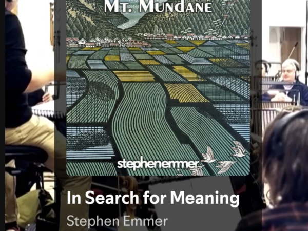 Stephen Emmer Releases “In Search for Meaning” – A Triumph of Hope and Resilience